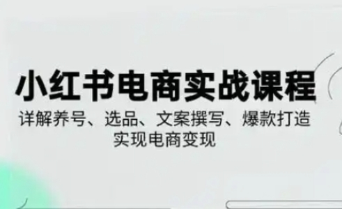 小红书从0-1实操课(2023-2025)，详解养号、选品、文案撰写、爆款打造实现电商变现-翻身资源站