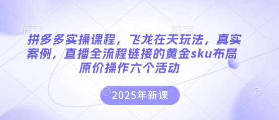 拼多多实操课程，飞龙在天玩法，真实案例，直播全流程链接的黄金sku布局原价操作六个活动-翻身资源站