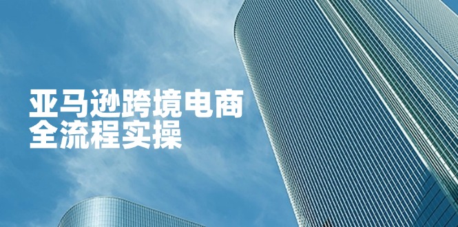（14252期）亚马逊跨境电商全流程实操，教你从零开始，掌握店铺运营与广告技巧-翻身资源站