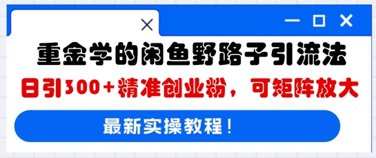重金学的闲鱼野路子引流法，日引300+精准创业粉，可矩阵放大-翻身资源站