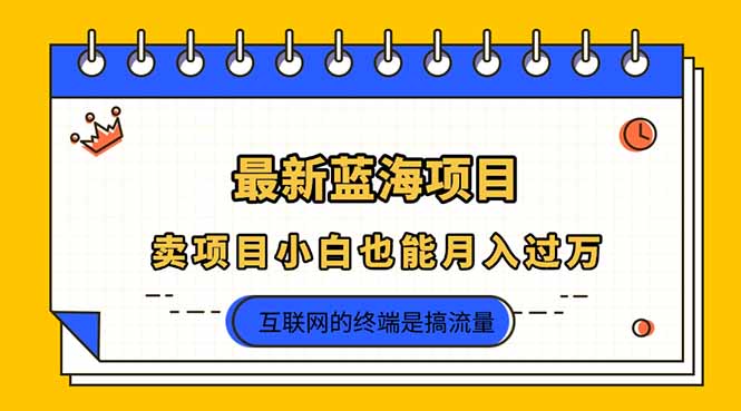 （14289期）2025年最新蓝海项目，卖项目小白也能月入过万-翻身资源站