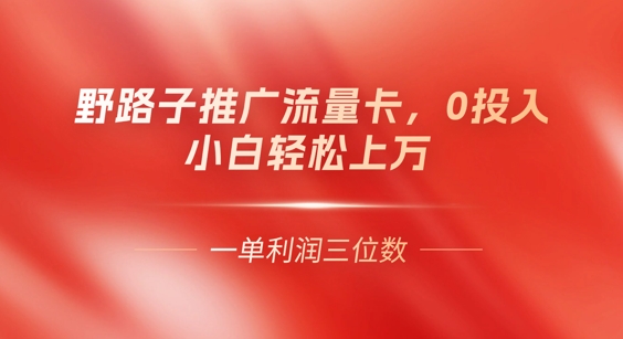 0门槛推广流量卡，一单收益上百，0投入，小白月入过W-翻身资源站