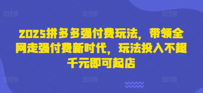 2025拼多多强付费玩法，带领全网走强付费新时代，玩法投入不超千元即可起店-翻身资源站