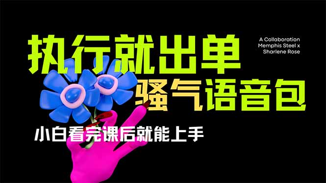 （14170期）爆火全网的开车导航骚气语音包,只要执行就出单，小白看完课程就能实操...-翻身资源站